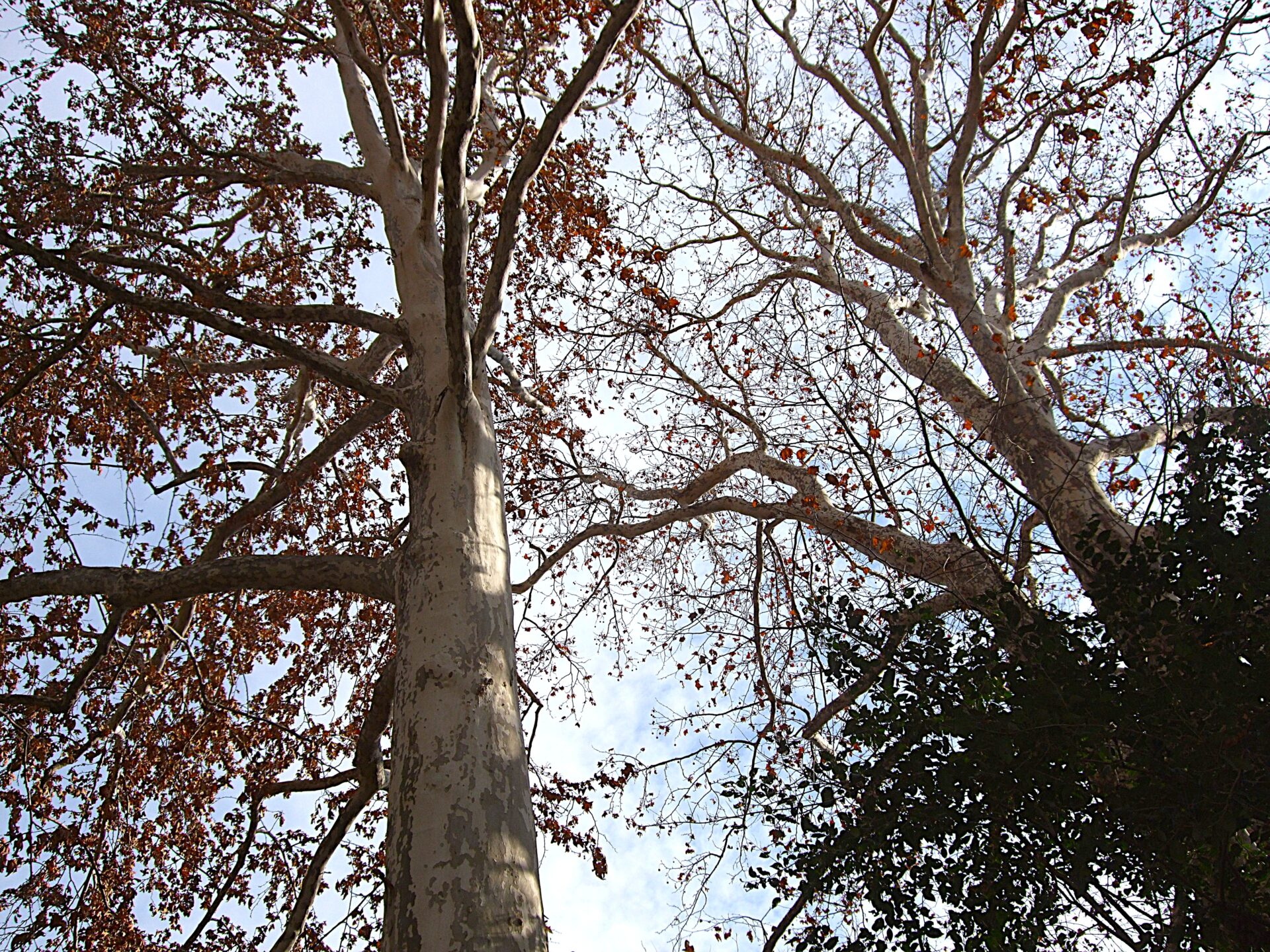 年始のお知らせ