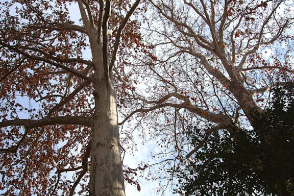 年始のお知らせ