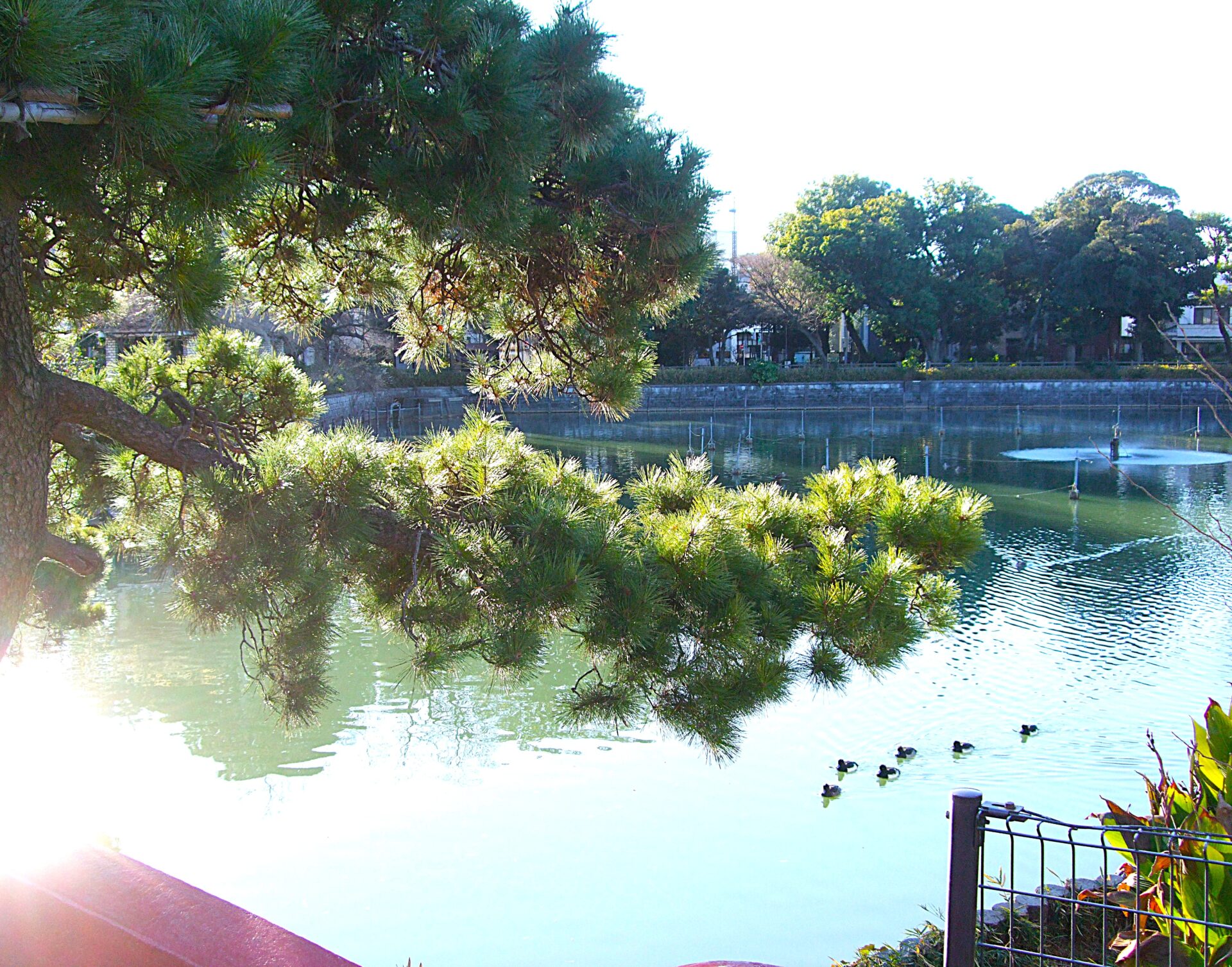 令和八年　年初め