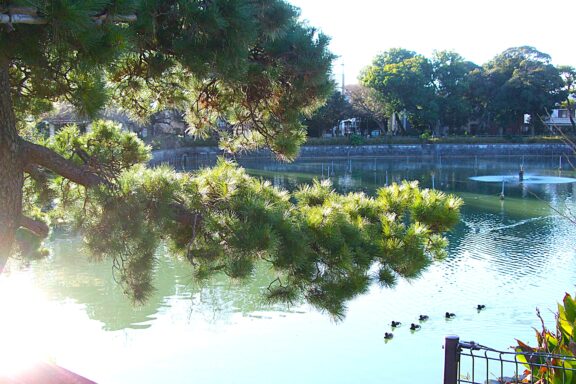 令和八年　年初め